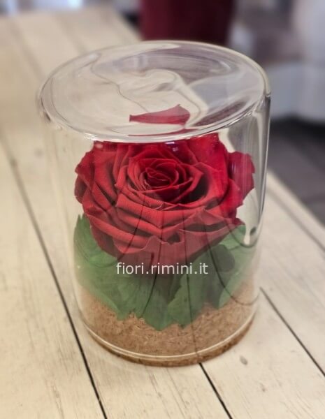 ROSA ROSSA STABILIZZATA NEL VETRO