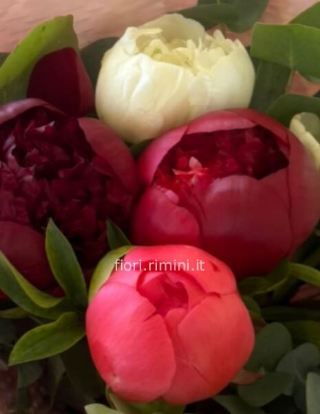 Bouquet Fantasie DI PEONIE