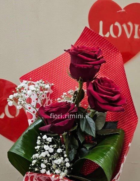 3 ROSE ROSSE A GAMBO LUNGO