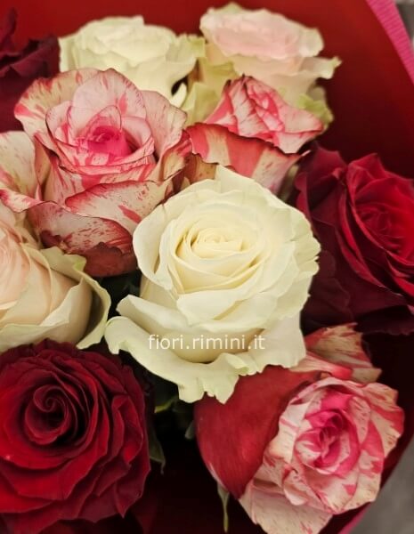 Bouquet Sofia 12 ROSE MIX