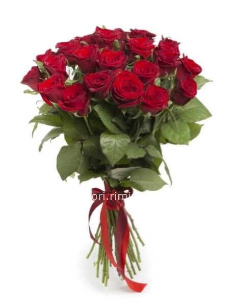 ROSE ROSSE STELO LUNGO